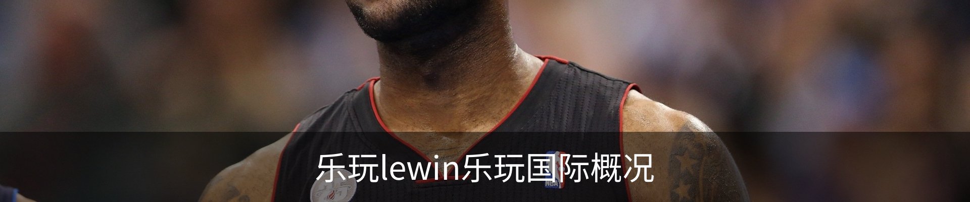 乐玩lewin乐玩国际概况